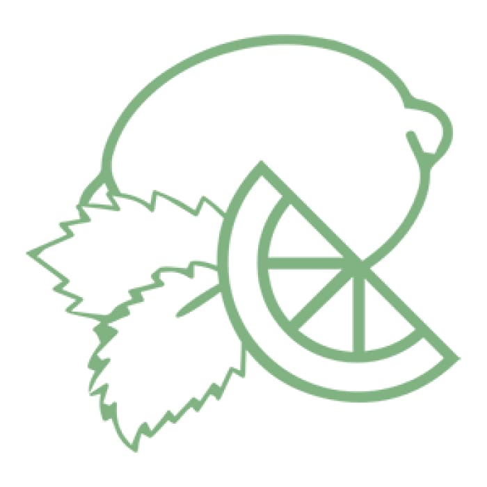 Mojito Blend Pure Essential Oil Bottle - 15ml-1